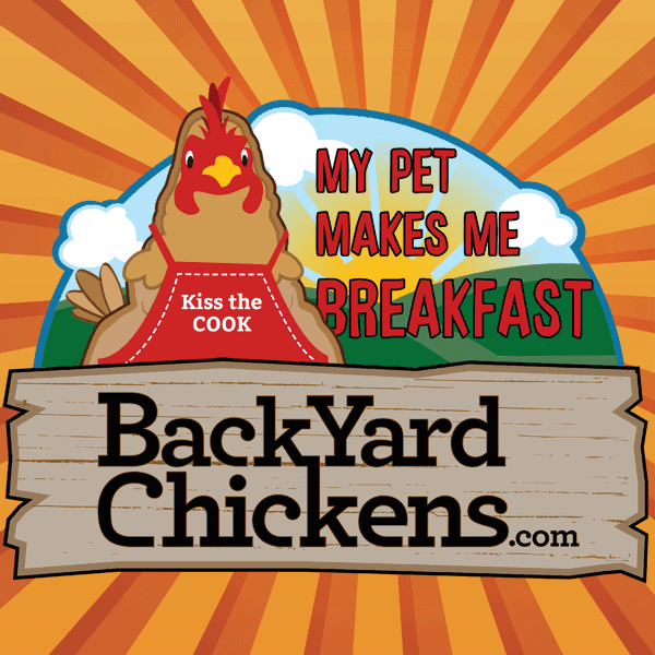 Raising Chickens 101 - Chicks, Breeds, Coops, Tips | BackYard Chickens - Learn How to Raise ChickensNote